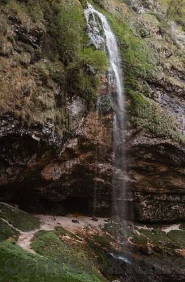 芒果大象回家视频-芒果、大象与回家的奇迹,一段温馨的旅程